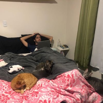 OthavioWolff's profile picture. Nessa conta você vai encontrar apenas reclamações, videogames, filmes, autodepreciação, divulgação do @dos_escritores e fotos de gatos