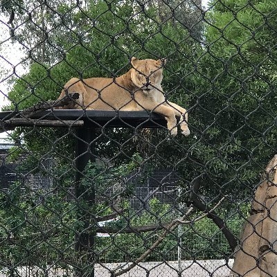 H3xDex's profile picture. 