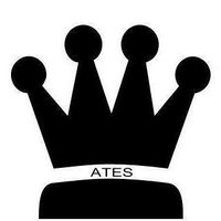 ATEŞ (@atestufan__) 's Twitter Profile