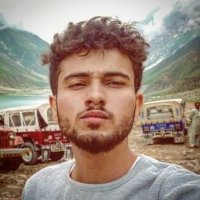 Muhammad Faizan (@muhammadfa85503) 's Twitter Profile