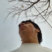 Thiagoo (@tit1__) 's Twitter Profile