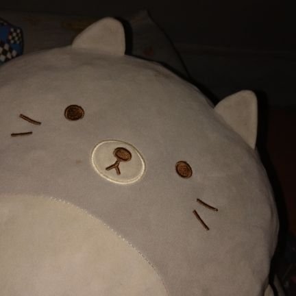 Se_ri45's profile picture. just a normal genshin and hsr player.