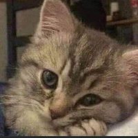 Ma_ Go_Da🥺♥️. (@mostafa_heda) Twitter profile photo