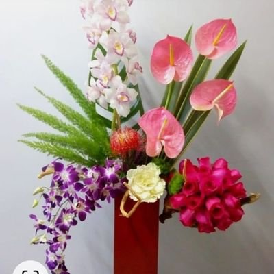 SaberAhmed96226's profile picture. 