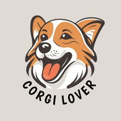 ❤️Welcome to @Corgi_Lover_s Club of America🇱🇷❤️➡️
Follow Us😍If You
Love #corgi  🐾 This page is dedicated to all the corgi  Lovers❤️