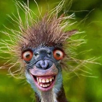 twinkel654's profile picture. I am Live in the Beautiful City of Chicago with my Wife and Daughter I am A HUGE Bears Fanatic. I am A Chronic Pain