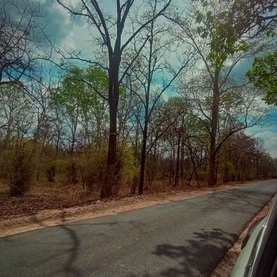 ImDanish2005's profile picture. 