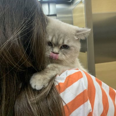 ebrkkskn's profile picture. Beybi shark dütdürürürüt dürüüüüü