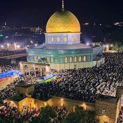 El86508Abdallah's profile picture. 