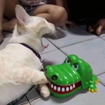 Wokoladochka_'s profile picture. 