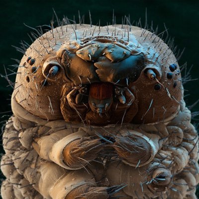 fredtm5's profile picture. I walk the line between good and evil