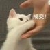 Lajrkk (@lajrkk) Twitter profile photo Lajrkk (@lajrkk) Twitter profile photo
