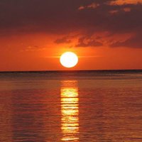 laktozsuz süt (@sadecenil1903) 's Twitter Profile Photo