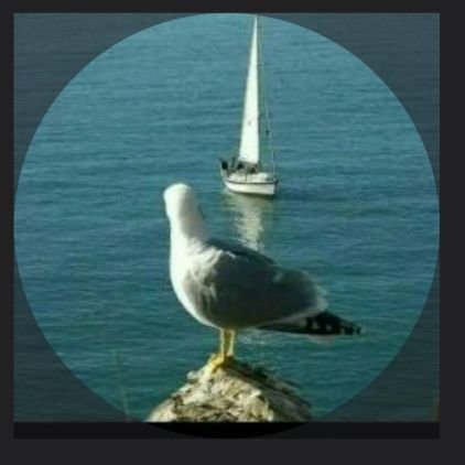 AbdelfatahFSAM's profile picture. الانسانية وعي واحساس وعقل