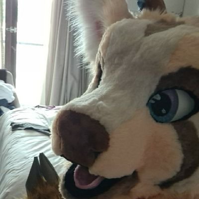 22 / 🔞 only AD / Single /Bi (Leans more to cock UwU)
Friendly Boy who loves to make new friends to
play with
Pm Friendly,
Fun socials in linktree
