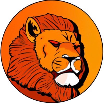 KOAM coin 🦁