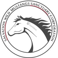 Salvation Wild Mustang Sanctuary(@WildCorp) 's Twitter Profile Photo