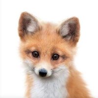 𝐉 (@w7w3w___) 's Twitter Profile