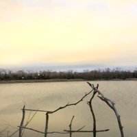 Digging around (@digaroundthesno) 's Twitter Profile