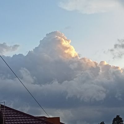 perlombaan1's profile picture. 