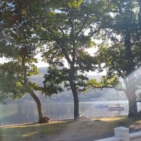 Leeann Conroy (@leeannconroy1) 's Twitter Profile Photo