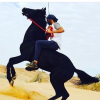 ابو جواد (@ibrahimaltwifah) 's Twitter Profile