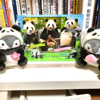 サスケとかえでとブル太郎とさくらとはるさんのプロフィール画像