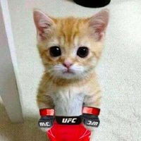 MMAHater(@mma_hater) 's Twitter Profile Photo