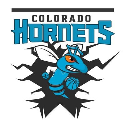 The Colorado Hornets Organization is dedicated to empowering youth as active, healthy student-athletes that lead and take responsibility in their community.