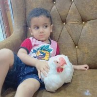 Raghad Abdul (@raghadabdul22) 's Twitter Profile