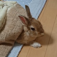アッキー (@matsu10evian) 's Twitter Profile