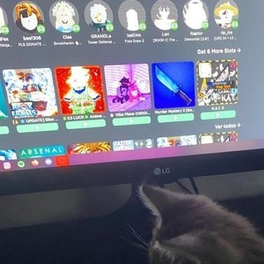 robert47653's profile picture. sup