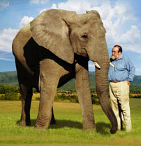 One Lucky Elephant takes an emotional look at the human-animal bond through one man's love for his elephant-daughter, Flora. WATCH Dec 1 on OWN Thursday at 9/8c
