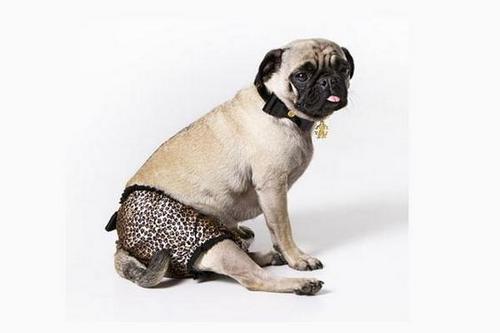 mini_STUDIO's profile picture. 