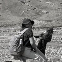 Guillermina Treglia (@guilletreglia) 's Twitter Profile