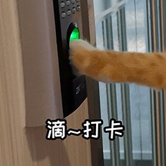 ROSIEHO76438479's profile picture. 10 Here's a great shopping platform I found called Temu.艾嘉素材模版1 5 The Temu shopping platform is awesome.艾嘉测试模版2