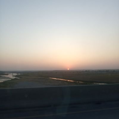 Adnandani1710's profile picture. 