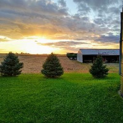 mms3678's profile picture. 