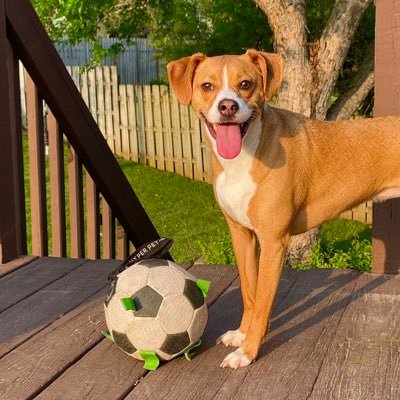 NHMah38's profile picture. 