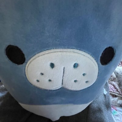 mfshrry's profile picture. jurídico hs