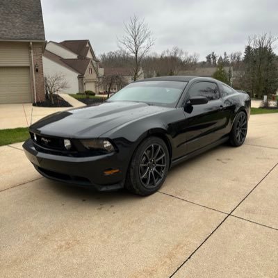 skinnerdylan1's profile picture. 