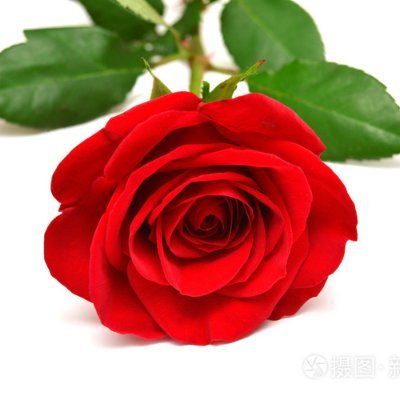 G13254282377's profile picture. 