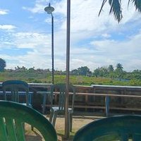 palanta (@palanta1991423) 's Twitter Profile