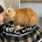 Bibliophile_b's profile image