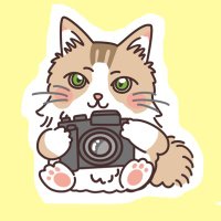 🔸こばたん🔸 (@kamekobatan) 's Twitter Profile
