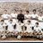 fotosalianzafc's profile image