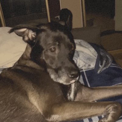 indoorzach420's profile picture. father. husband. gamer. homegrown