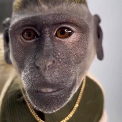 Baggybaggz1's profile picture. 