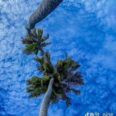 obongojr_'s profile picture. OBJ🇰🇪