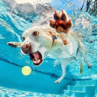 Jamren大甜 (@igjamren) 's Twitter Profile